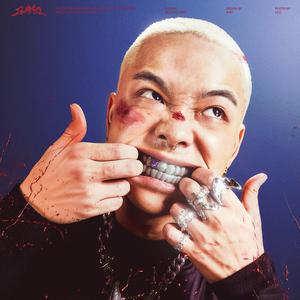 全球顶级AV网站在线
