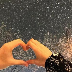 全球顶级AV网站在线
