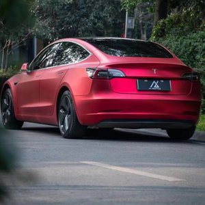 全球顶级AV网站在线
